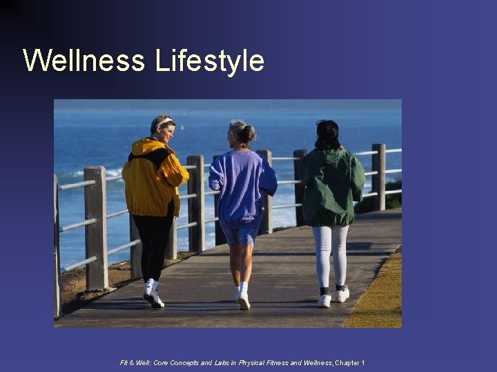 Wellness Lifestyle Fit & Well: Core Concepts and Labs in Physical Fitness and Wellness,