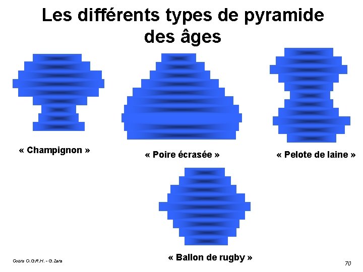 Les différents types de pyramide des âges « Champignon » Cours O. G. R.