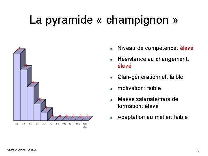 La pyramide « champignon » Résistance au changement: élevé Clan-générationnel: faible motivation: faible Cours