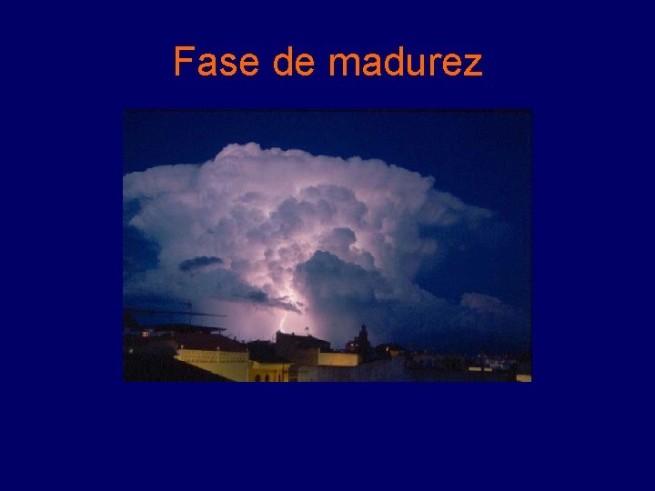 Fase de madurez 