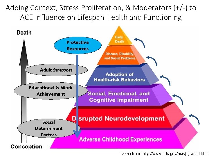 Adding Context, Stress Proliferation, & Moderators (+/-) to ACE Influence on Lifespan Health and