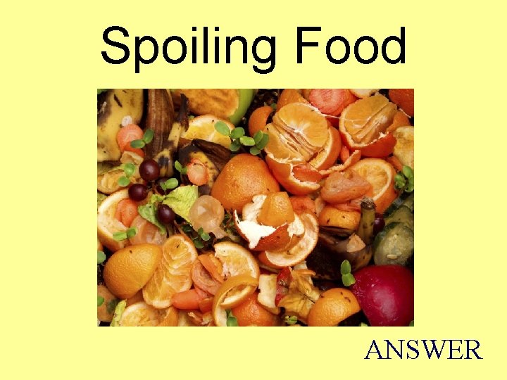 Spoiling Food ANSWER 