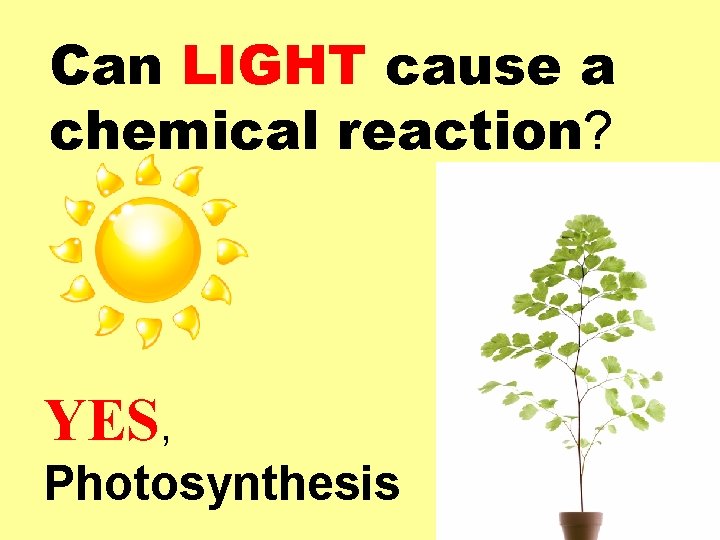 Can LIGHT cause a chemical reaction? YES, Photosynthesis 