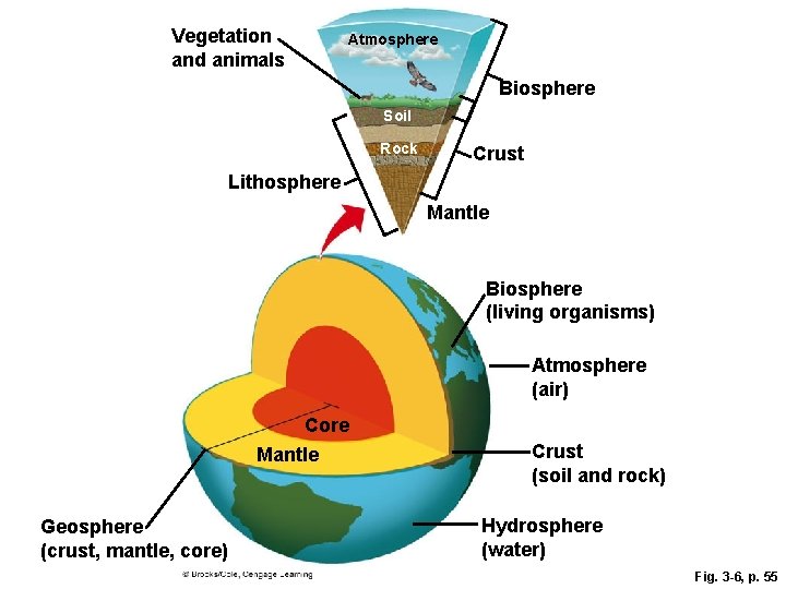 Vegetation and animals Atmosphere Biosphere Soil Rock Crust Lithosphere Mantle Biosphere (living organisms) Atmosphere