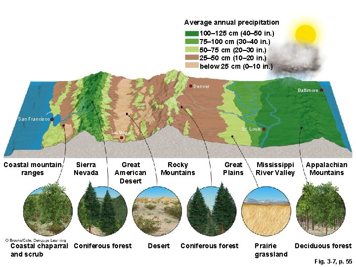 Average annual precipitation 100– 125 cm (40– 50 in. ) 75– 100 cm (30–