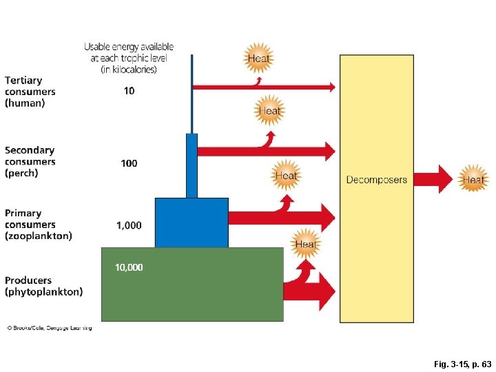 Fig. 3 -15, p. 63 