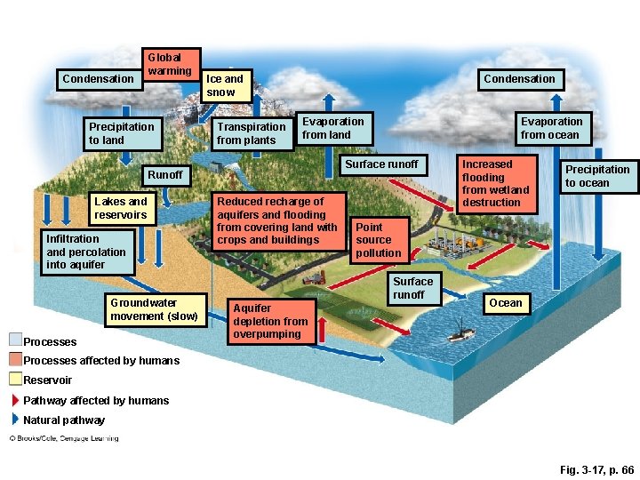 Condensation Global warming Precipitation to land Ice and snow Transpiration from plants Condensation Evaporation