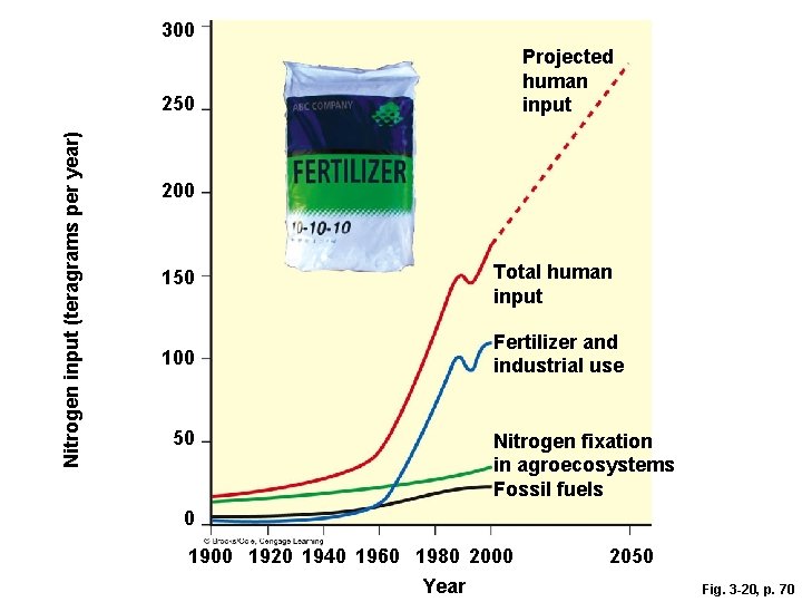 300 Projected human input Nitrogen input (teragrams per year) 250 200 150 Total human