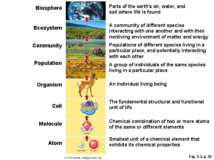 Biosphere Parts of the earth's air, water, and soil where life is found Ecosystem