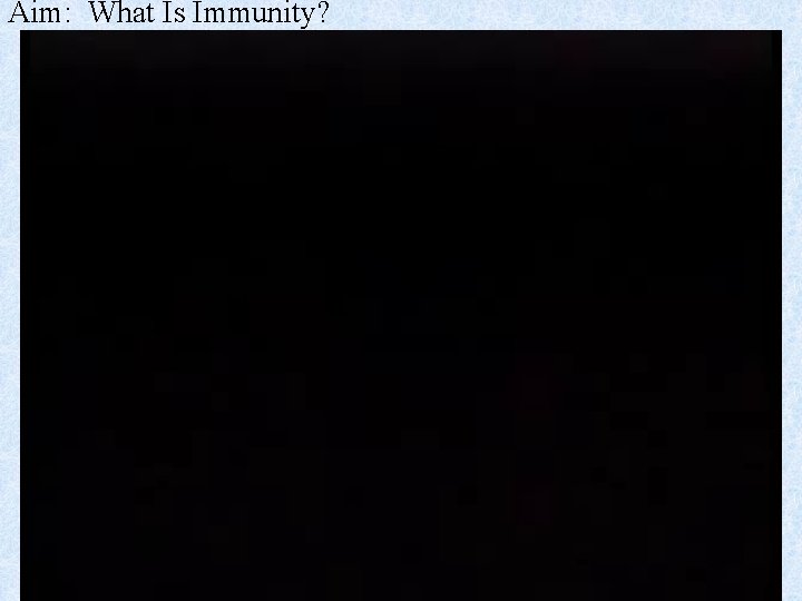 Aim: What Is Immunity? 