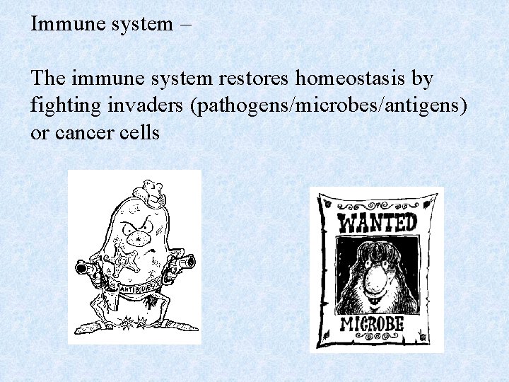 Immune system – The immune system restores homeostasis by fighting invaders (pathogens/microbes/antigens) or cancer