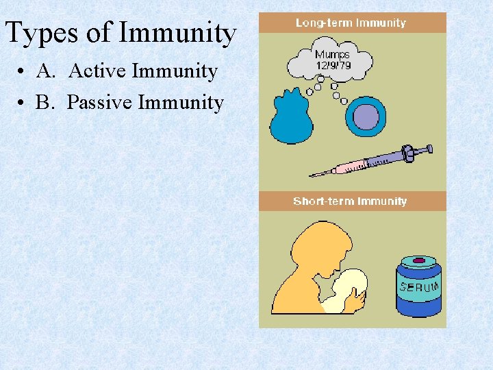 Types of Immunity • A. Active Immunity • B. Passive Immunity 