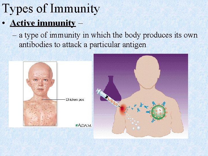 Types of Immunity • Active immunity – – a type of immunity in which