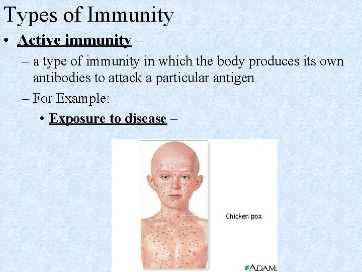 Types of Immunity • Active immunity – – a type of immunity in which
