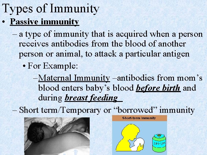 Types of Immunity • Passive immunity – a type of immunity that is acquired