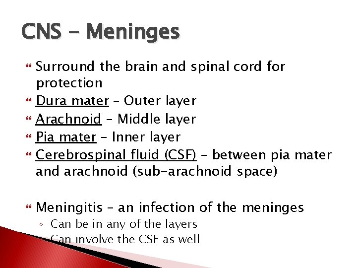 CNS - Meninges Surround the brain and spinal cord for protection Dura mater –