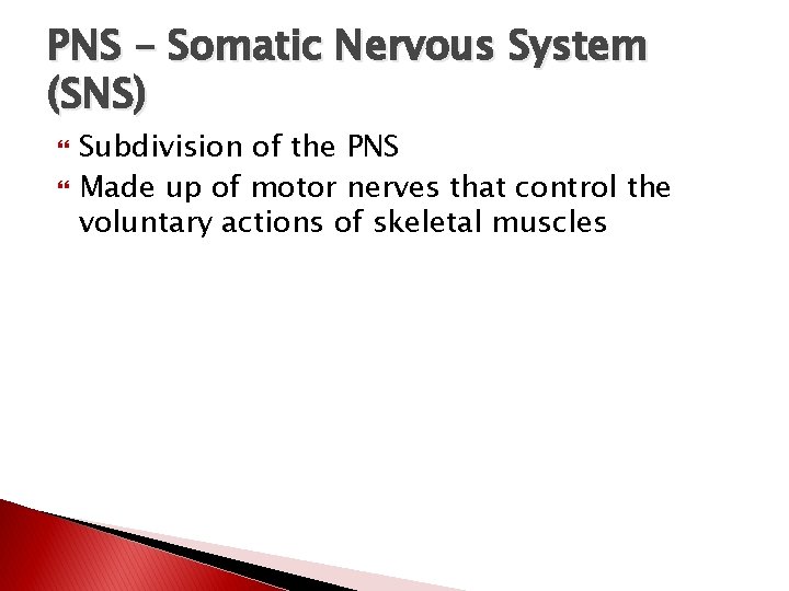 PNS – Somatic Nervous System (SNS) Subdivision of the PNS Made up of motor