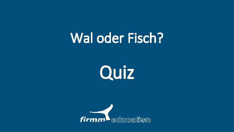 Wal oder Fisch? Quiz 