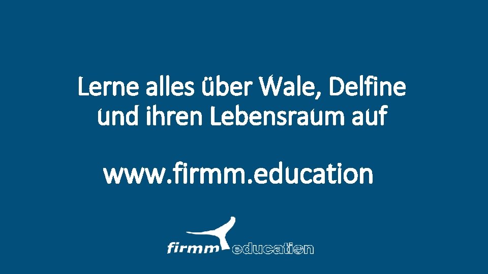 Lerne alles über Wale, Delfine und ihren Lebensraum auf www. firmm. education 