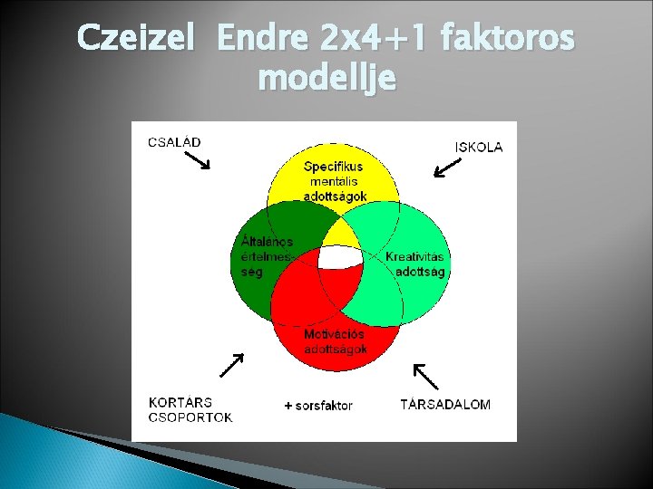 Czeizel Endre 2 x 4+1 faktoros modellje 