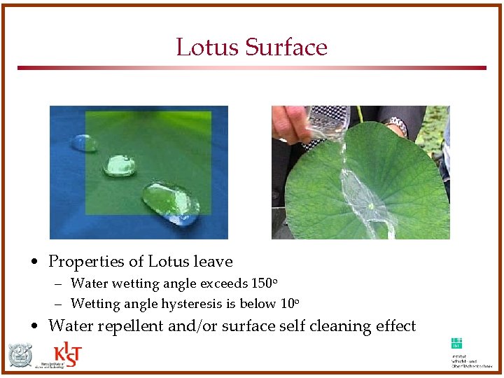 Lotus Surface • Properties of Lotus leave – Water wetting angle exceeds 150 o Lotus Surface • Properties of Lotus leave – Water wetting angle exceeds 150 o