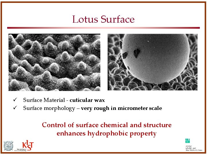Lotus Surface ü Surface Material - cuticular wax ü Surface morphology – very rough Lotus Surface ü Surface Material - cuticular wax ü Surface morphology – very rough