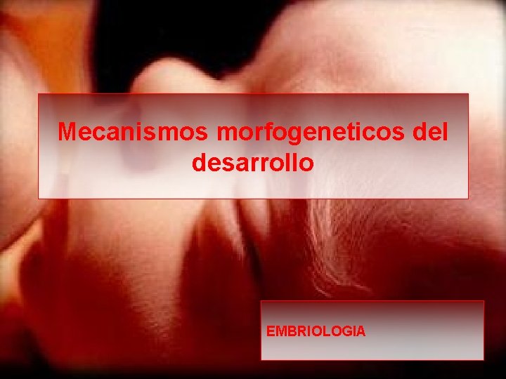 Mecanismos morfogeneticos del desarrollo EMBRIOLOGIA 