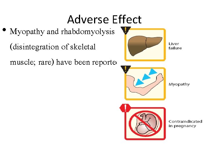 Adverse Effect • Myopathy and rhabdomyolysis (disintegration of skeletal muscle; rare) have been reported.