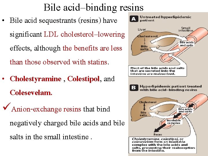 Bile acid–binding resins • Bile acid sequestrants (resins) have significant LDL cholesterol–lowering effects, although