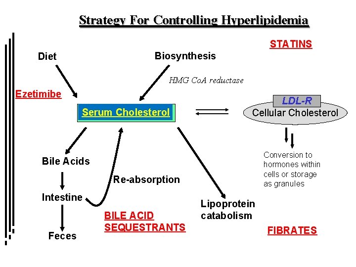 Strategy For Controlling Hyperlipidemia STATINS Biosynthesis Diet HMG Co. A reductase Ezetimibe Serum Cholesterol