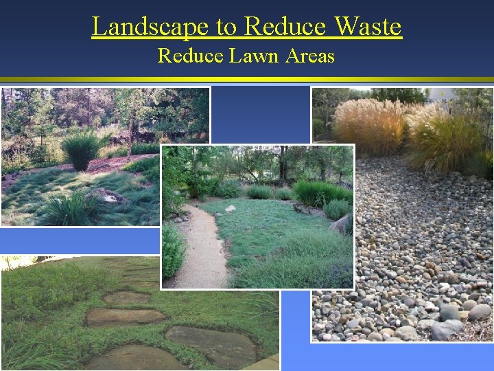 Landscape to Reduce Waste Reduce Lawn Areas 