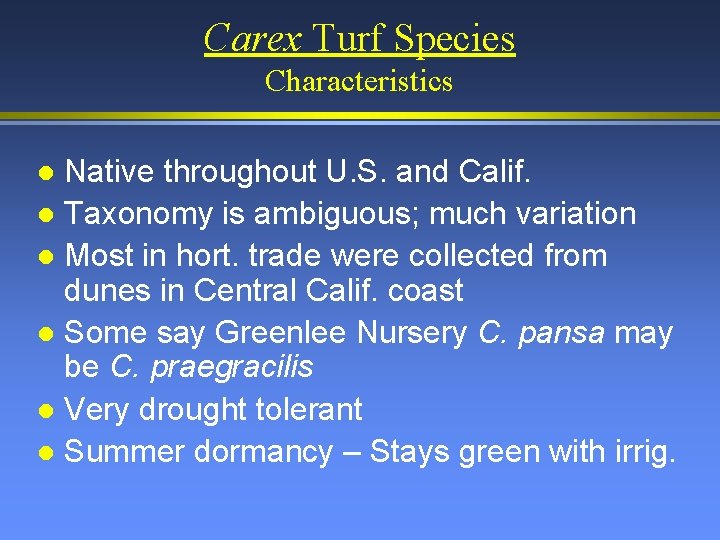 Carex Turf Species Characteristics Native throughout U. S. and Calif. l Taxonomy is ambiguous;