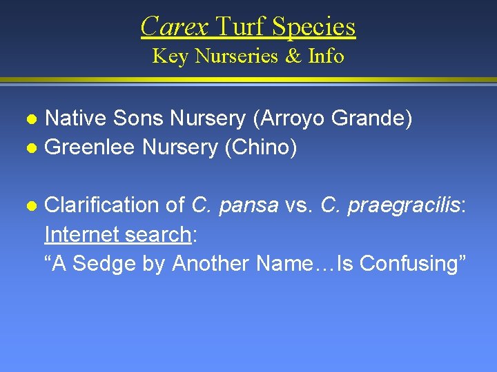 Carex Turf Species Key Nurseries & Info Native Sons Nursery (Arroyo Grande) l Greenlee