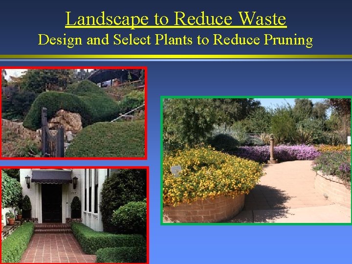 Landscape to Reduce Waste Design and Select Plants to Reduce Pruning 