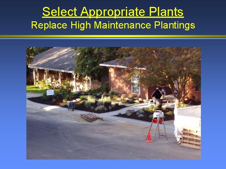 Select Appropriate Plants Replace High Maintenance Plantings 