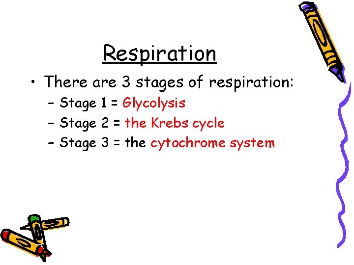 Respiration • There are 3 stages of respiration: – Stage 1 = Glycolysis –