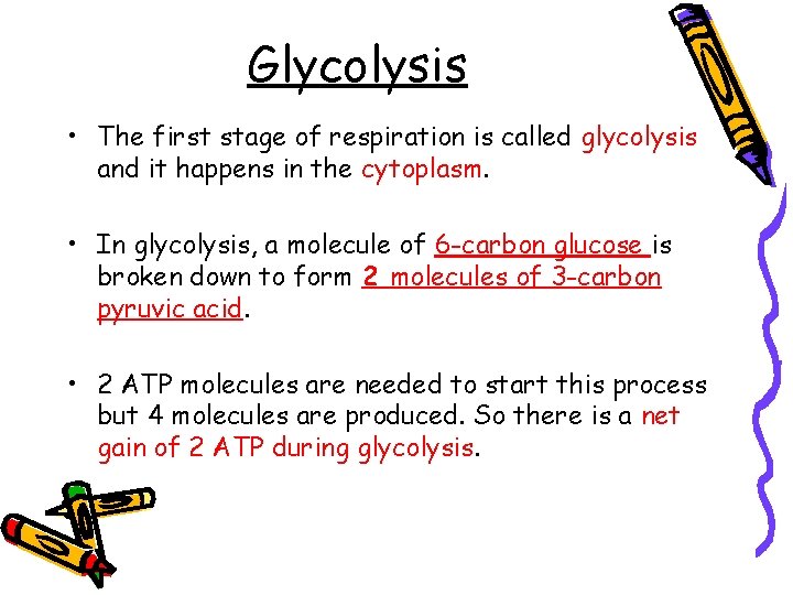 Glycolysis • The first stage of respiration is called glycolysis and it happens in