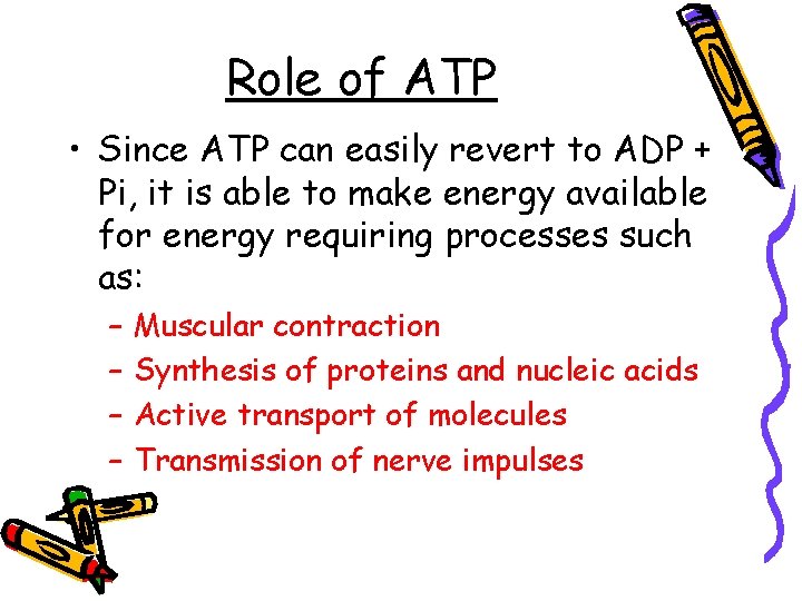 Role of ATP • Since ATP can easily revert to ADP + Pi, it