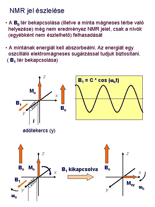 NMR jel észlelése • A B 0 tér bekapcsolása (illetve a minta mágneses térbe