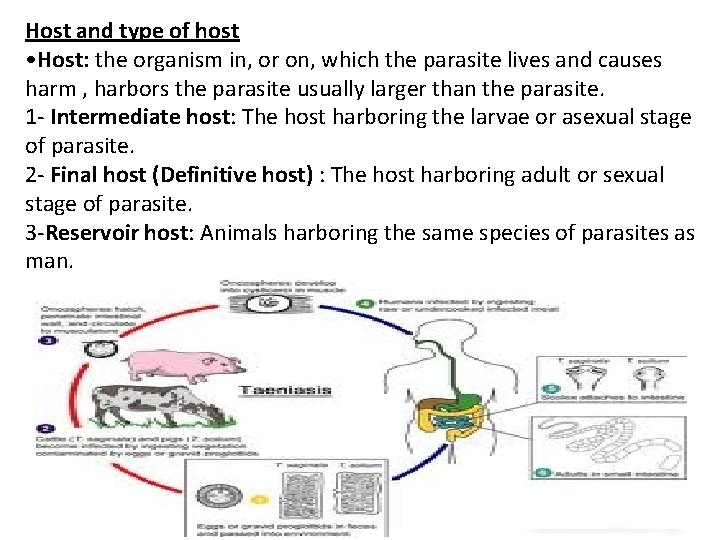 define helminthology