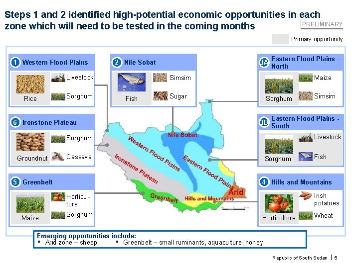 Steps 1 and 2 identified high-potential economic opportunities in each PRELIMINARY zone which will