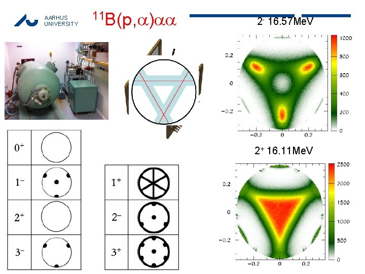 AARHUS UNIVERSITY 11 B(p, ) 2 - 16. 57 Me. V 2+ 16. 11