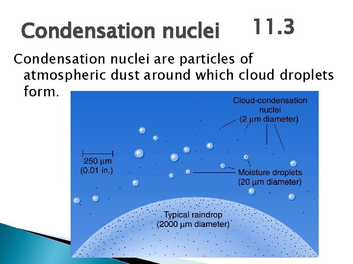Condensation nuclei 11. 3 Condensation nuclei are particles of atmospheric dust around which cloud Condensation nuclei 11. 3 Condensation nuclei are particles of atmospheric dust around which cloud