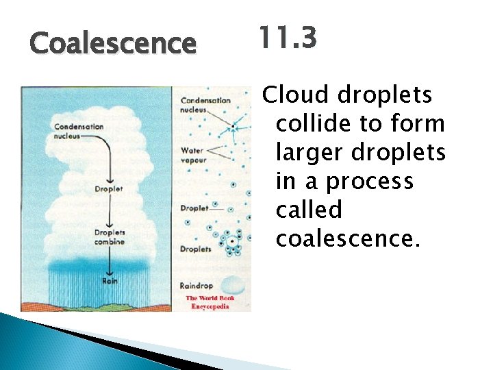 Coalescence 11. 3 Cloud droplets collide to form larger droplets in a process called Coalescence 11. 3 Cloud droplets collide to form larger droplets in a process called