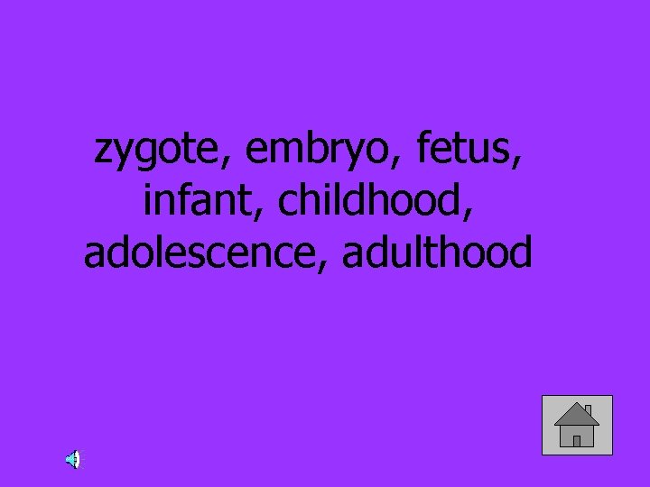 zygote, embryo, fetus, infant, childhood, adolescence, adulthood 