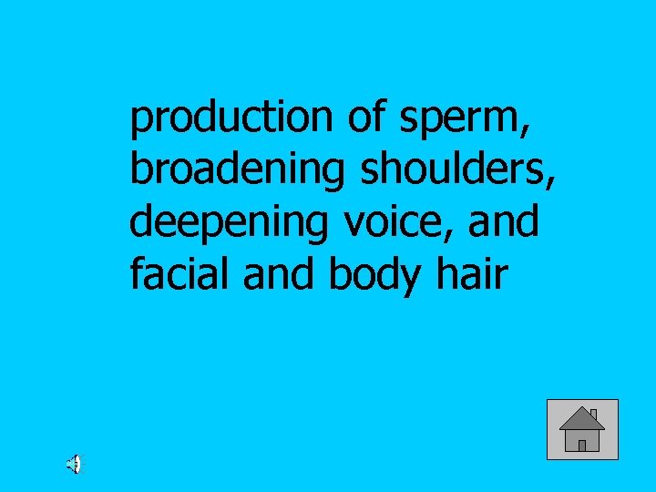 production of sperm, broadening shoulders, deepening voice, and facial and body hair 