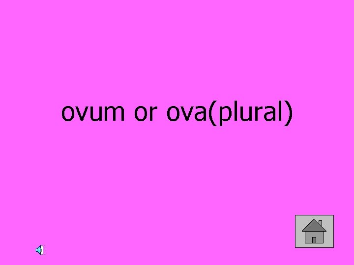 ovum or ova(plural) 