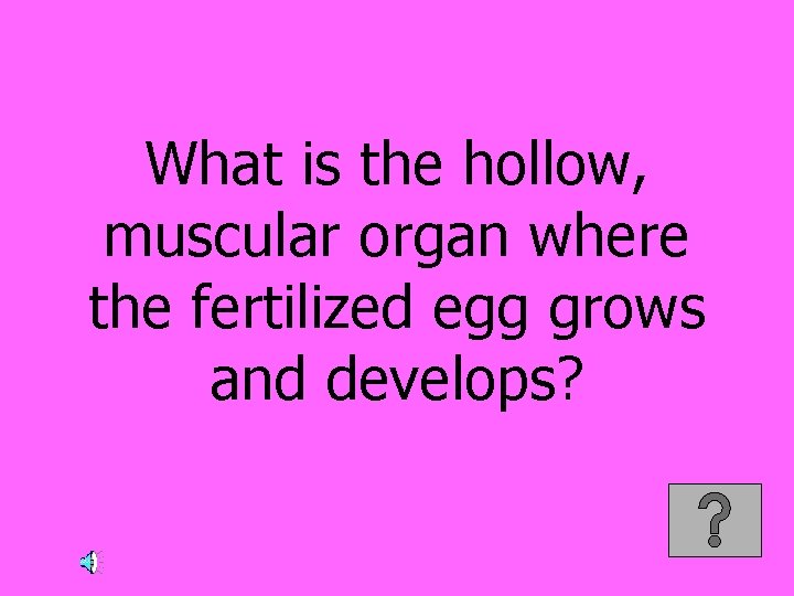 What is the hollow, muscular organ where the fertilized egg grows and develops? 