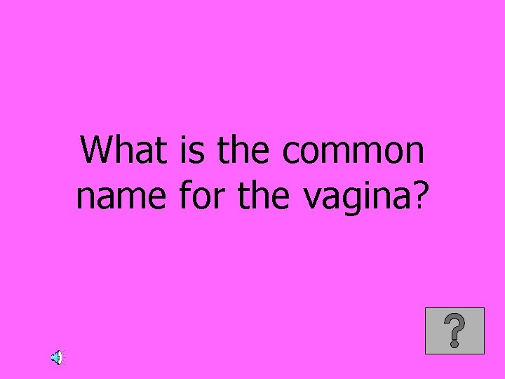 What is the common name for the vagina? 