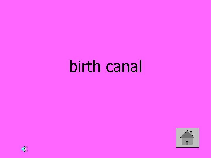 birth canal 